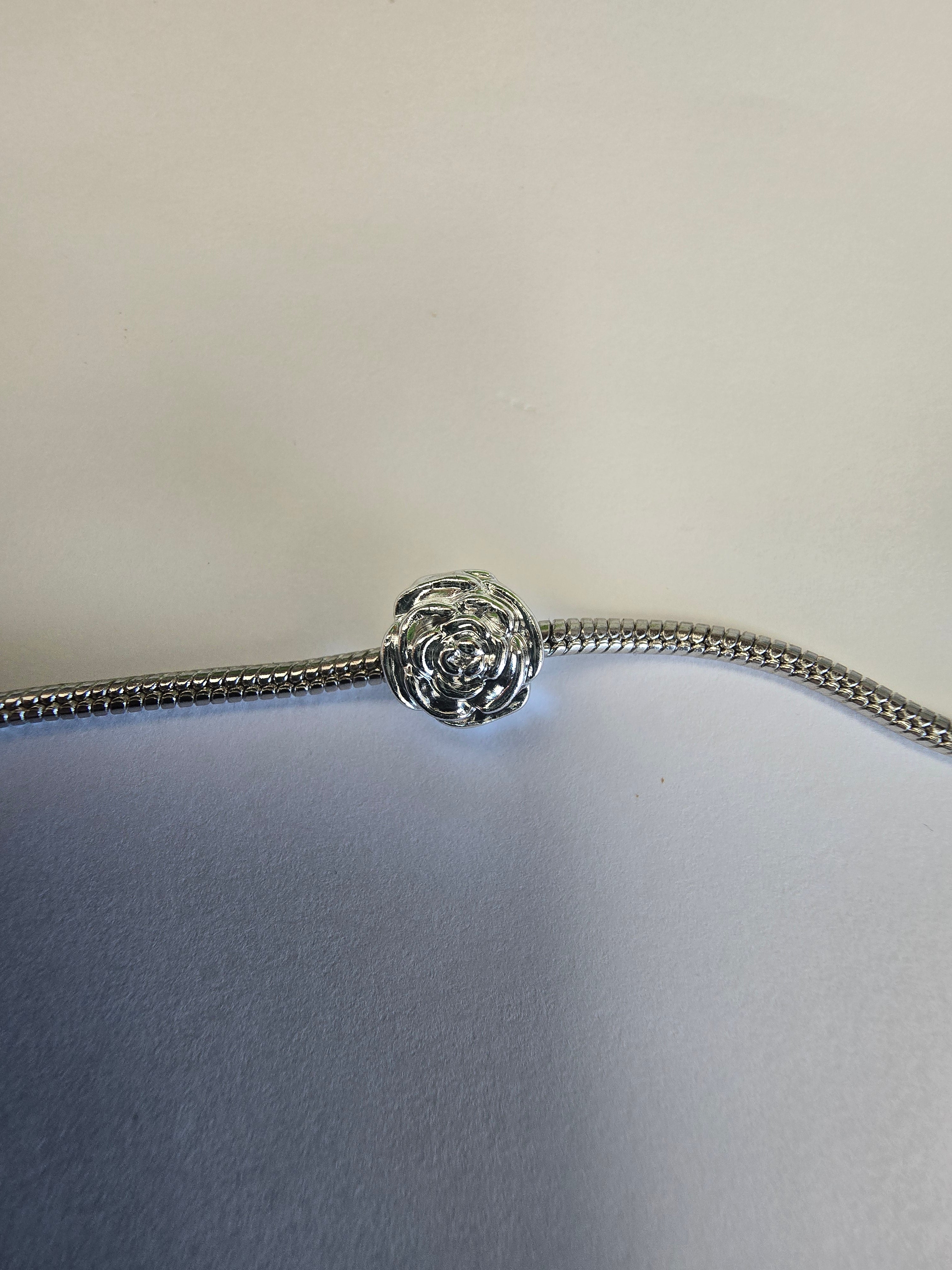 Silver charm fits all charm bracelets