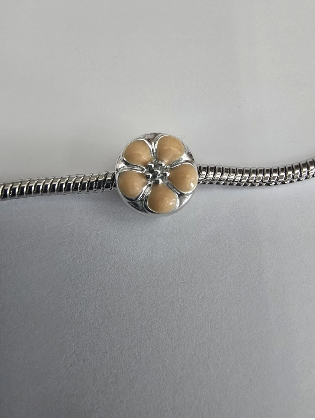 Silver charm fits all charm bracelets